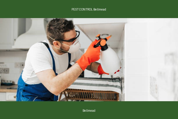 PEST CONTROL Bellmead